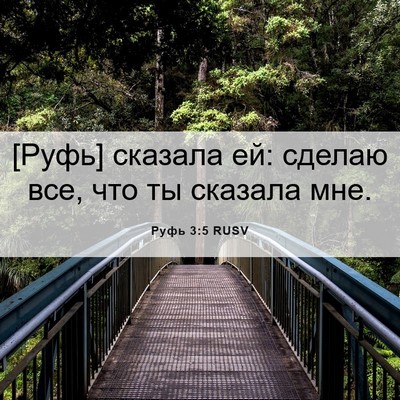 Picture 06 - Руфь 3:5 RUSV - [Руфь] сказала ей: сделаю - Bible Verse Picture