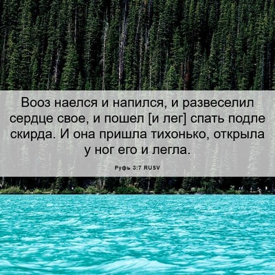 Picture 06 - Руфь 3:7 RUSV - Вооз наелся и напился, и - Bible Verse Picture