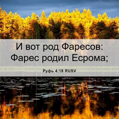 Picture 06 - Руфь 4:18 RUSV - И вот род Фаресов: Фарес - Bible Verse Picture