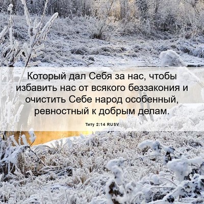 Picture 06 - Титу 2:14 RUSV - Который дал Себя за нас, - Bible Verse Picture