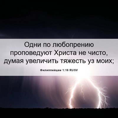 Picture 06 - Филиппийцам 1:16 RUSV - Одни по любопрению - Bible Verse Picture