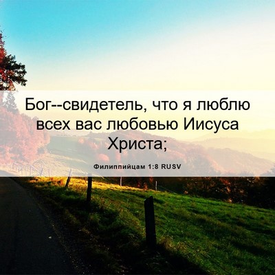 Picture 06 - Филиппийцам 1:8 RUSV - Бог--свидетель, что я люблю - Bible Verse Picture