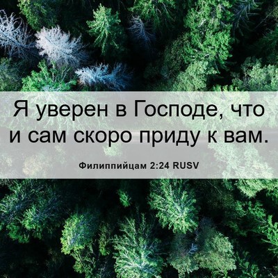 Picture 06 - Филиппийцам 2:24 RUSV - Я уверен в Господе, что и - Bible Verse Picture