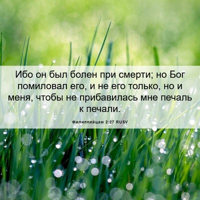 Picture 06 - Филиппийцам 2:27 RUSV - Ибо он был болен при - Bible Verse Picture