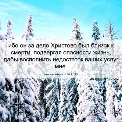 Picture 06 - Филиппийцам 2:30 RUSV - ибо он за дело Христово был - Bible Verse Picture