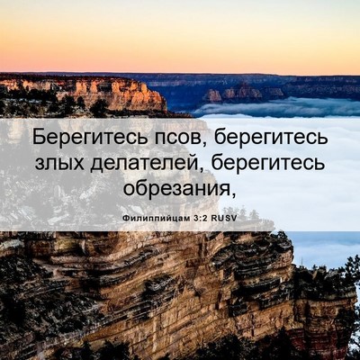 Picture 06 - Филиппийцам 3:2 RUSV - Берегитесь псов, - Bible Verse Picture