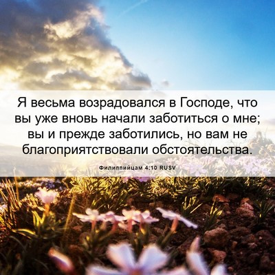 Picture 06 - Филиппийцам 4:10 RUSV - Я весьма возрадовался в - Bible Verse Picture