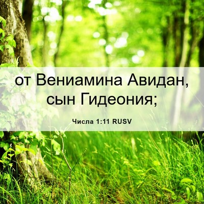 Picture 06 - Числа 1:11 RUSV - от Вениамина Авидан, сын - Bible Verse Picture