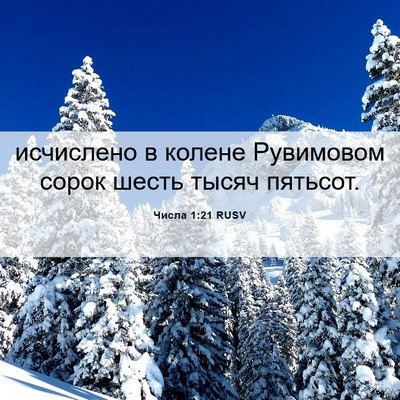 Picture 06 - Числа 1:21 RUSV - исчислено в колене - Bible Verse Picture