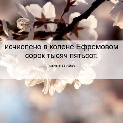 Picture 06 - Числа 1:33 RUSV - исчислено в колене - Bible Verse Picture