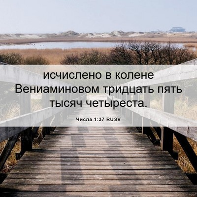Picture 06 - Числа 1:37 RUSV - исчислено в колене - Bible Verse Picture