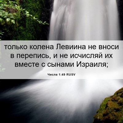 Picture 06 - Числа 1:49 RUSV - только колена Левиина не - Bible Verse Picture