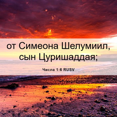 Picture 06 - Числа 1:6 RUSV - от Симеона Шелумиил, сын - Bible Verse Picture