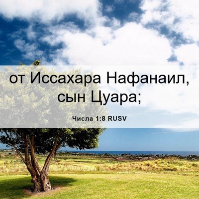 Picture 06 - Числа 1:8 RUSV - от Иссахара Нафанаил, сын - Bible Verse Picture