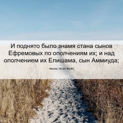 Picture 06 - Числа 10:22 RUSV - И поднято было знамя стана - Bible Verse Picture