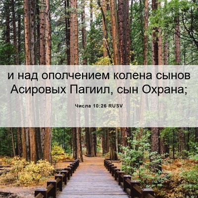 Picture 06 - Числа 10:26 RUSV - и над ополчением колена - Bible Verse Picture