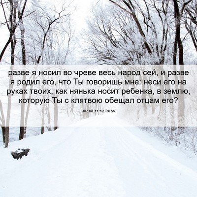 Picture 06 - Числа 11:12 RUSV - разве я носил во чреве весь - Bible Verse Picture