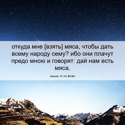 Picture 06 - Числа 11:13 RUSV - откуда мне [взять] мяса, - Bible Verse Picture