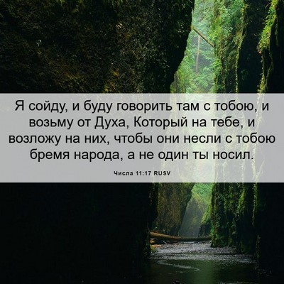 Picture 06 - Числа 11:17 RUSV - Я сойду, и буду говорить - Bible Verse Picture