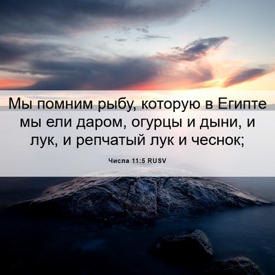 Picture 06 - Числа 11:5 RUSV - Мы помним рыбу, которую в - Bible Verse Picture