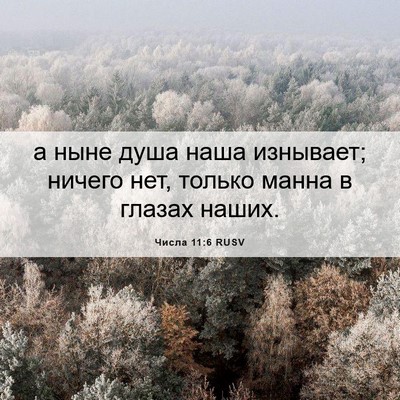 Picture 06 - Числа 11:6 RUSV - а ныне душа наша изнывает; - Bible Verse Picture