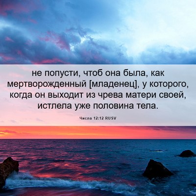 Picture 06 - Числа 12:12 RUSV - не попусти, чтоб она была, - Bible Verse Picture
