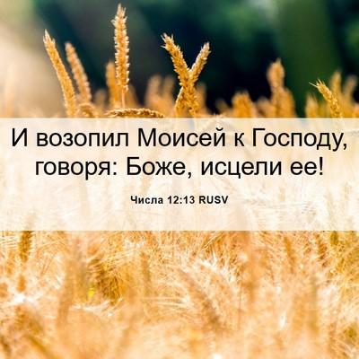 Picture 06 - Числа 12:13 RUSV - И возопил Моисей к Господу, - Bible Verse Picture