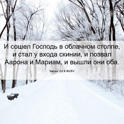Picture 06 - Числа 12:5 RUSV - И сошел Господь в облачном - Bible Verse Picture