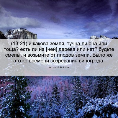 Picture 06 - Числа 13:20 RUSV - (13-21) и какова земля, тучна - Bible Verse Picture