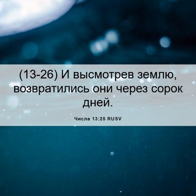 Picture 06 - Числа 13:25 RUSV - (13-26) И высмотрев землю, - Bible Verse Picture