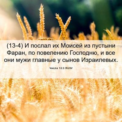 Picture 06 - Числа 13:3 RUSV - (13-4) И послал их Моисей из - Bible Verse Picture
