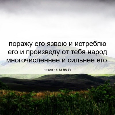 Picture 06 - Числа 14:12 RUSV - поражу его язвою и - Bible Verse Picture