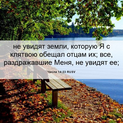 Picture 06 - Числа 14:23 RUSV - не увидят земли, которую Я - Bible Verse Picture