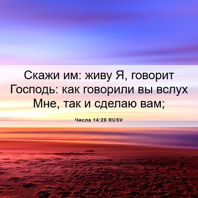 Picture 06 - Числа 14:28 RUSV - Скажи им: живу Я, говорит - Bible Verse Picture