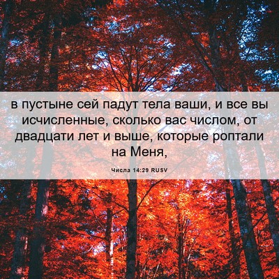 Picture 06 - Числа 14:29 RUSV - в пустыне сей падут тела - Bible Verse Picture