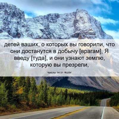 Picture 06 - Числа 14:31 RUSV - детей ваших, о которых вы - Bible Verse Picture