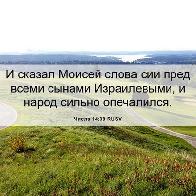 Picture 06 - Числа 14:39 RUSV - И сказал Моисей слова сии - Bible Verse Picture