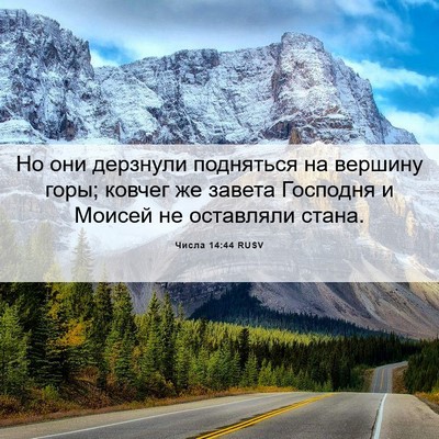 Picture 06 - Числа 14:44 RUSV - Но они дерзнули подняться - Bible Verse Picture
