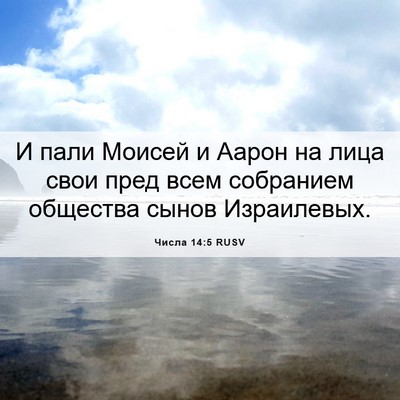 Picture 06 - Числа 14:5 RUSV - И пали Моисей и Аарон на - Bible Verse Picture