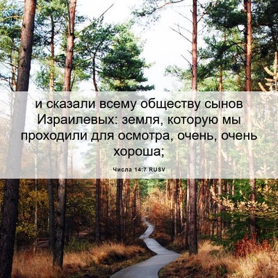Picture 06 - Числа 14:7 RUSV - и сказали всему обществу - Bible Verse Picture