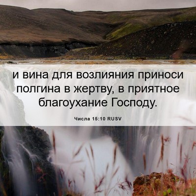 Picture 06 - Числа 15:10 RUSV - и вина для возлияния - Bible Verse Picture