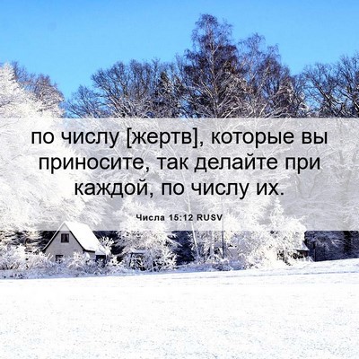 Picture 06 - Числа 15:12 RUSV - по числу [жертв], которые вы - Bible Verse Picture
