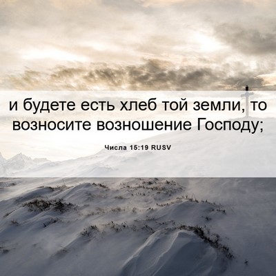 Picture 06 - Числа 15:19 RUSV - и будете есть хлеб той - Bible Verse Picture