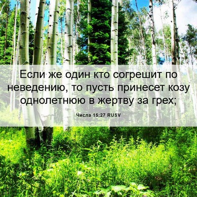 Picture 06 - Числа 15:27 RUSV - Если же один кто согрешит - Bible Verse Picture