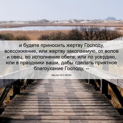 Picture 06 - Числа 15:3 RUSV - и будете приносить жертву - Bible Verse Picture