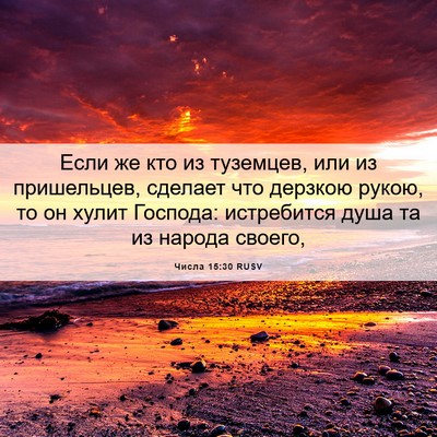 Picture 06 - Числа 15:30 RUSV - Если же кто из туземцев, - Bible Verse Picture