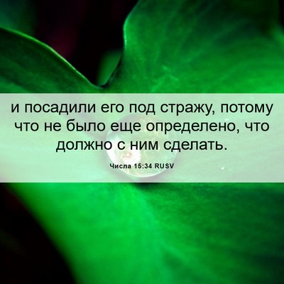Picture 06 - Числа 15:34 RUSV - и посадили его под стражу, - Bible Verse Picture