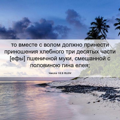 Picture 06 - Числа 15:9 RUSV - то вместе с волом должно - Bible Verse Picture