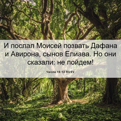 Picture 06 - Числа 16:12 RUSV - И послал Моисей позвать - Bible Verse Picture