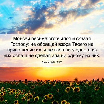 Picture 06 - Числа 16:15 RUSV - Моисей весьма огорчился и - Bible Verse Picture